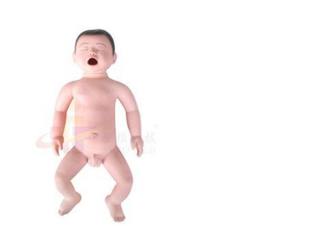 幼儿窒息模型JW1036